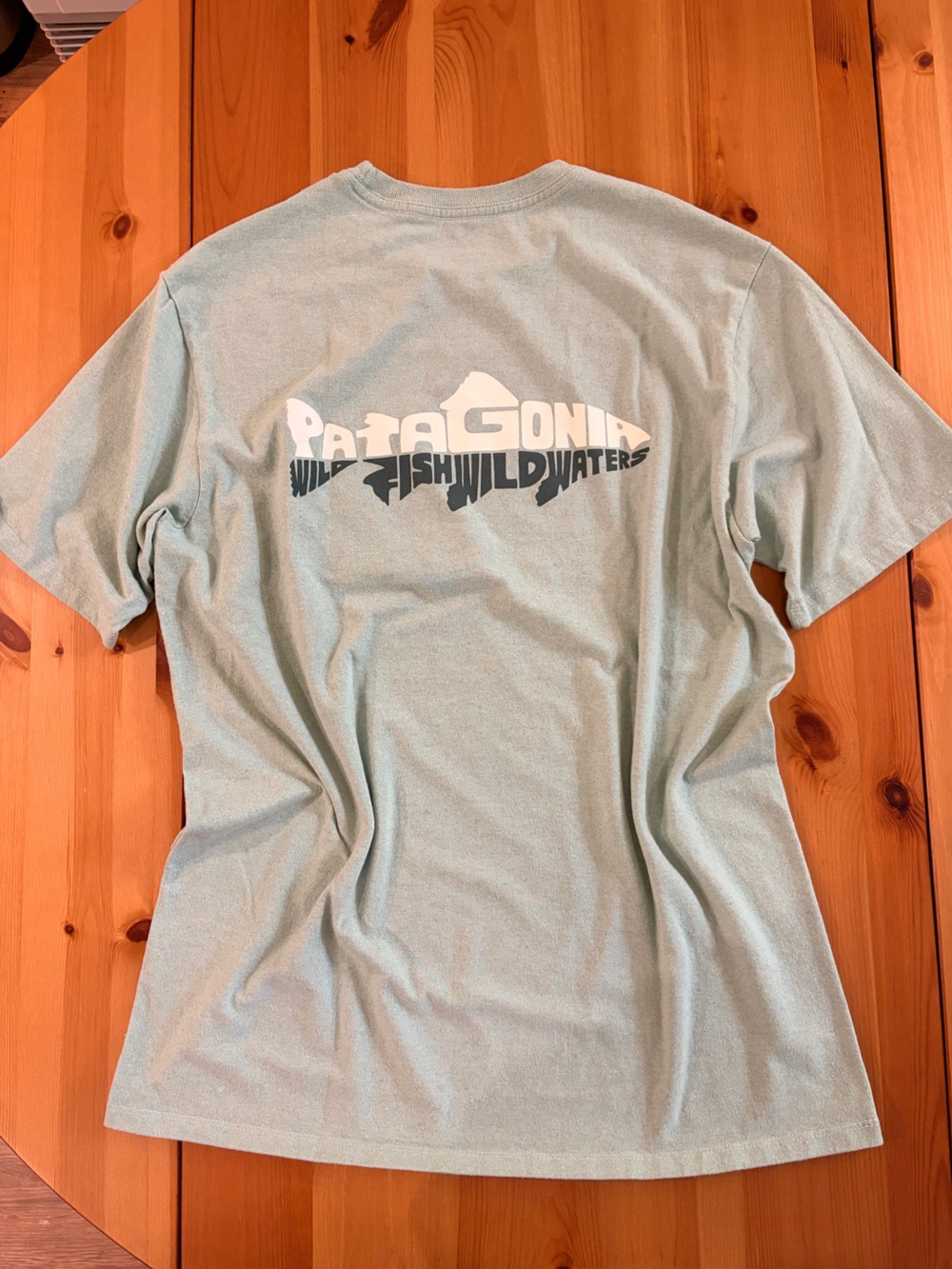 Patagonia Wild Waterline Pocket Responsibili-Tee in Tea Green
